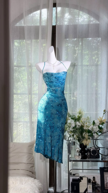 Blue Sheath Black Sheath Spaghetti Straps Beaded Sequin Chiffon Prom Dress Party Dress DP5815