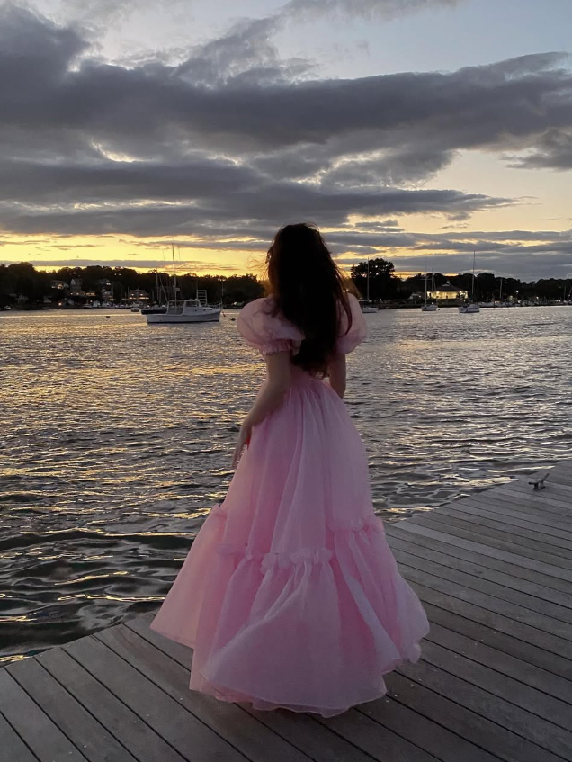 Princess A Line Puff Pink Organza Long Prom Dress 18th Birthday Dress Outfits DP3386
