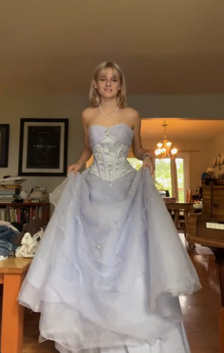Lilac A Line Sweetheart Neck Beaded Tulle Long Prom Dress Evening Dress DP2786
