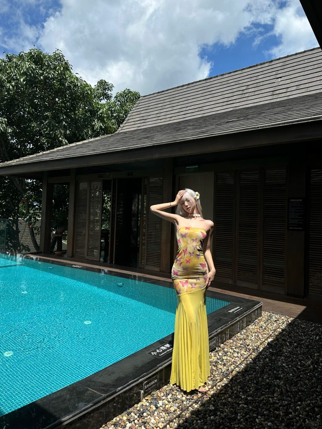Yellow Mermaid Strapless Butterfly Print Chiffon Vacation Dress Outfits DP3844