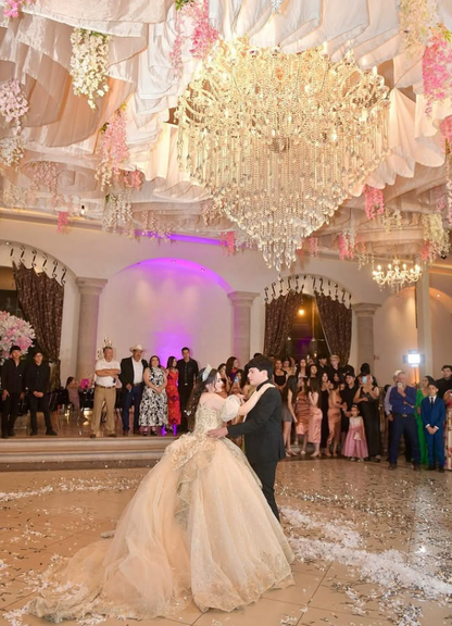 Champagne Exquisite Embroidery Puff Tulle Ball Gown Sweet 16 Dress Quinceanera Dress Wedding Dress DP3028