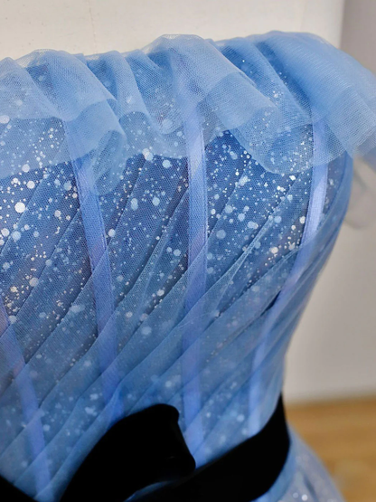 Elegant Blue Tulle Long Prom Dress Formal Evening Dress DP079