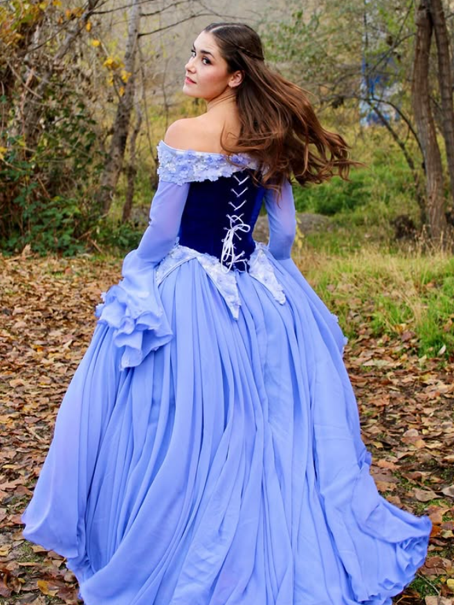 Stunning A Line Long Sleeve Purple Appliques Velvet Chiffon Prom Dress DP4431