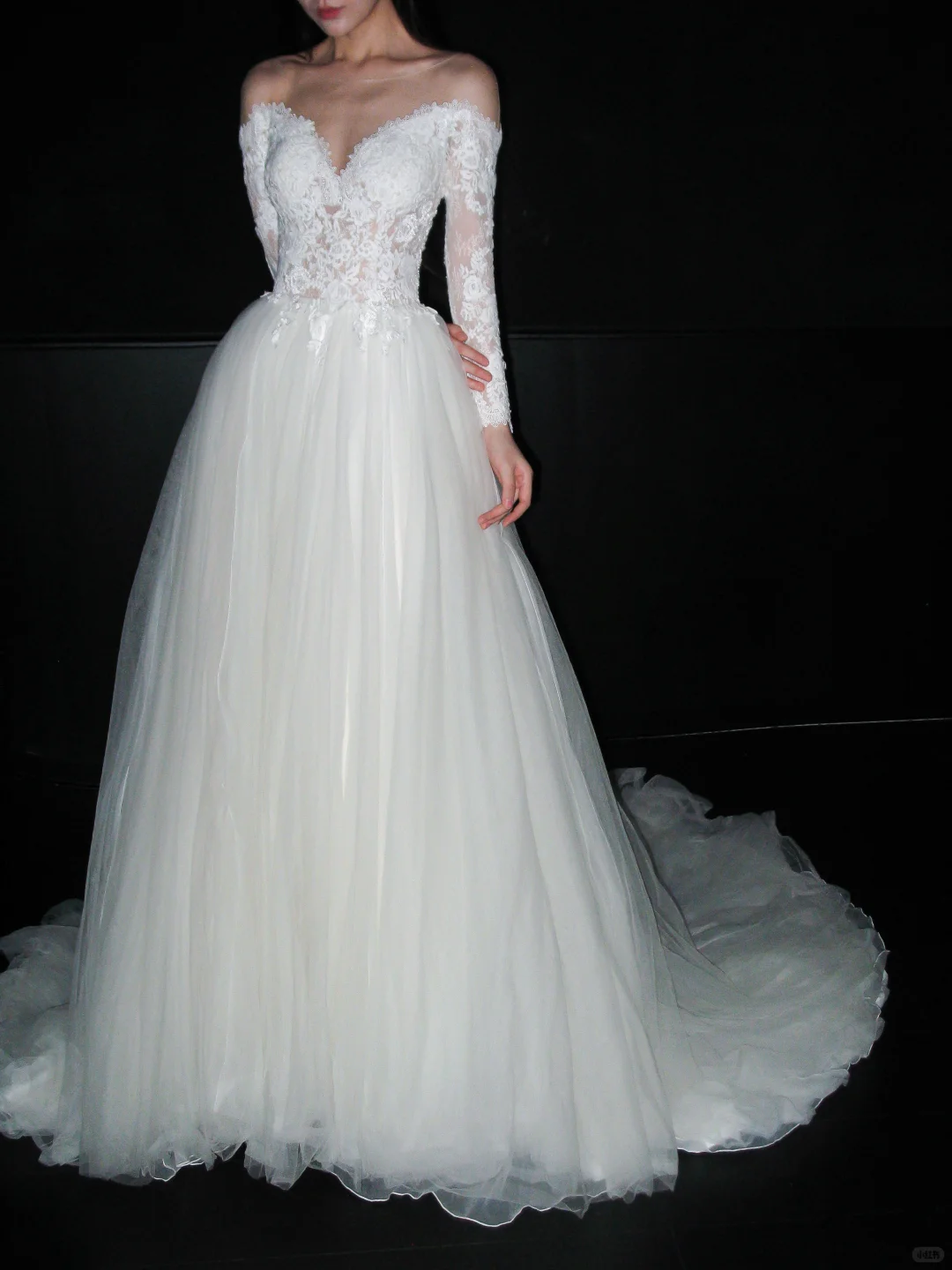 White Ball Gown Long Sleeve Exquisite Lace Tulle Long Wedding Dress DP8106