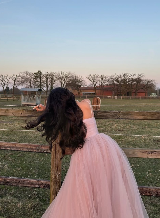 Princess A Line Spaghetti Strap Pink Tulle Prom Dress Party Dress 16th Birthday Dress DP3489