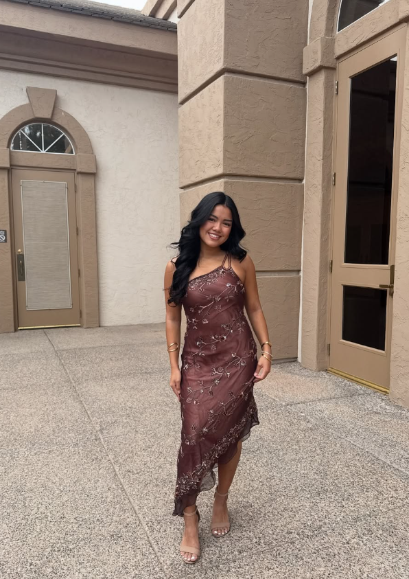 Retro Brown Exquisite Beaded Sheath One Shoulder Homecoming Prom Dress Date Dress DP3055