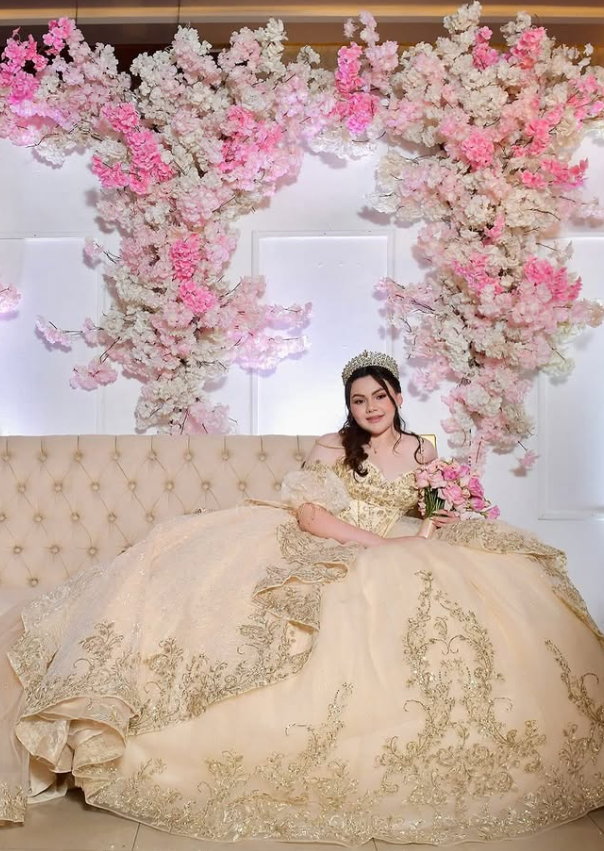 Champagne Exquisite Embroidery Puff Tulle Ball Gown Sweet 16 Dress Quinceanera Dress Wedding Dress DP3028