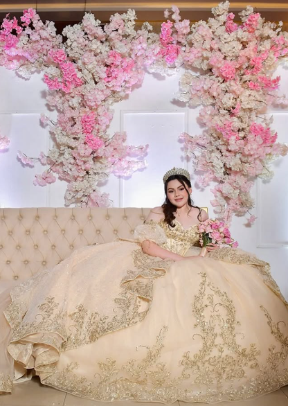 Champagne Exquisite Embroidery Puff Tulle Ball Gown Sweet 16 Dress Quinceanera Dress Wedding Dress DP3028