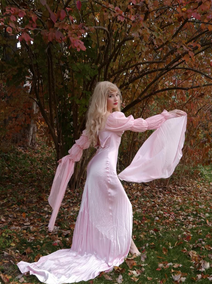 Sleeping Beauty A Line Long Sleeve Pink Chiffon Satin Prom Dress 18th Birthday Dress DP3385