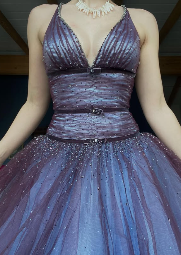 Retro A Line V Neck Beaded Purple Tulle Prom Dress Evening Dress DP5640
