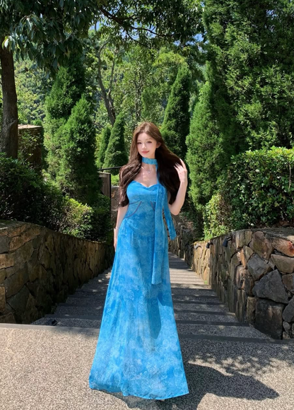Stunning Blue A Line Spaghetti Straps Rose Print Chiffon Long Prom Dress Party Dress DP4748