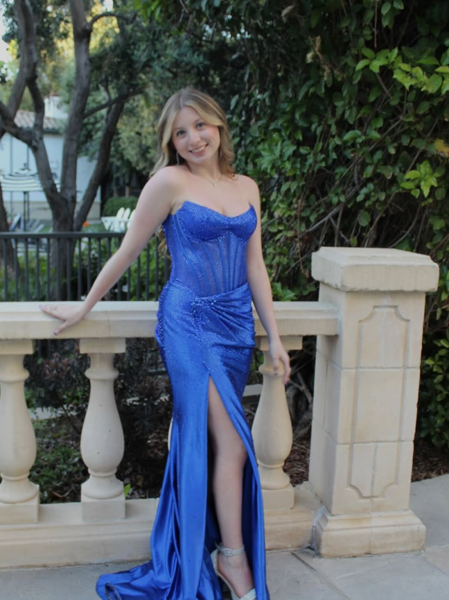 Royal Blue Mermaid Strapless Beaded Satin Long Prom Dress Evening Dress DP5943