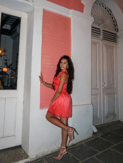 Pink A Line Spaghetti Strap Tulle Short Homecoming Dress Birthday Dress DP1656