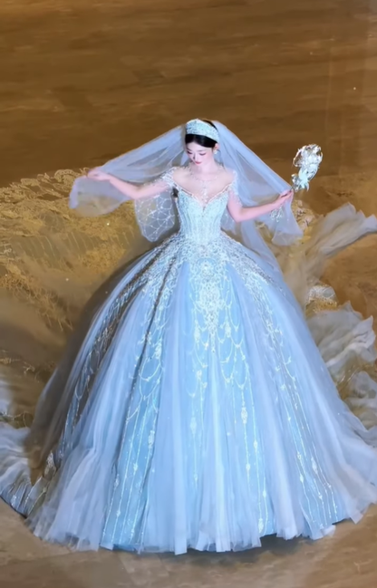 Dreamy Ball Gown Appliques Beaded Pleated Unique Tulle Wedding Dress DP5050