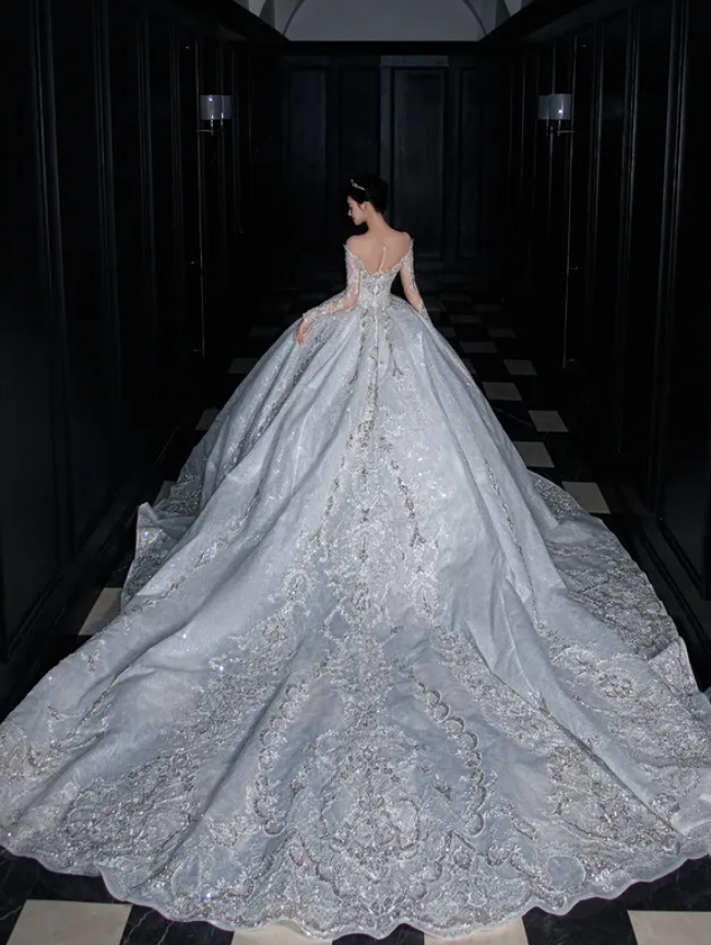 Dreamy Gray Ball Gown Lace Sequin Beaded Unique Long Sweep Wedding Dress DP5051
