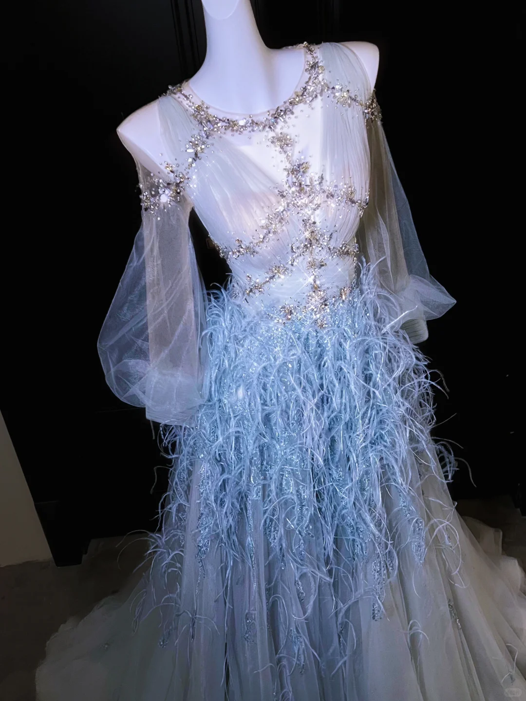 Blue Feather Exquisite Beaded Long Sleeve Tulle Date Dress Evening Dress Prom Dress DP2901