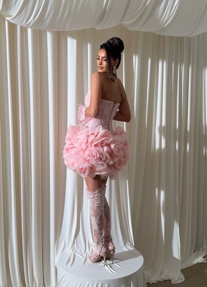 Princess Pink A Line Strapless Lace Tulle Short Prom Dress Homecoming Dress DP6209