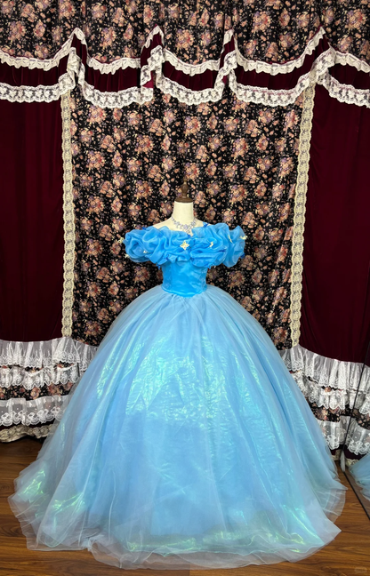 Cinderella Ball Gown Off the Shoulder Applique Organza Tulle Prom Dress Party Dress DP3175