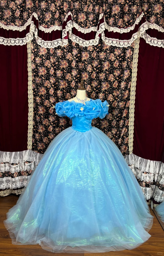 Cinderella Ball Gown Off the Shoulder Applique Organza Tulle Prom Dress Party Dress DP3175