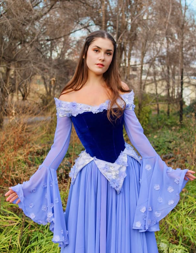 Stunning A Line Long Sleeve Purple Appliques Velvet Chiffon Prom Dress DP4431