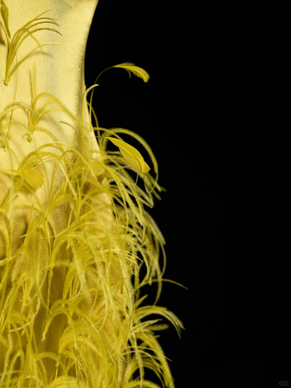 Elegant Sheath Sweetheart Neck Yellow Feather Satin Long Prom Dress Evening Dress DP1948