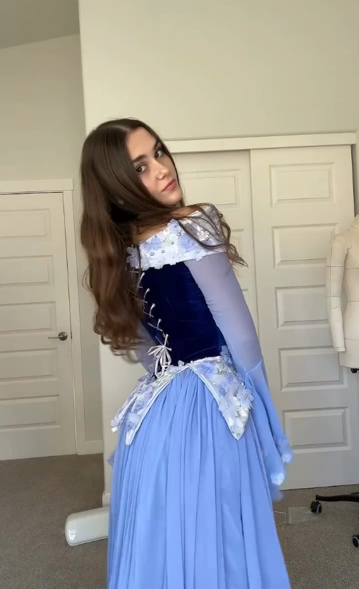 Stunning A Line Long Sleeve Purple Appliques Velvet Chiffon Prom Dress DP4431