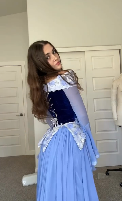 Stunning A Line Long Sleeve Purple Appliques Velvet Chiffon Prom Dress DP4431