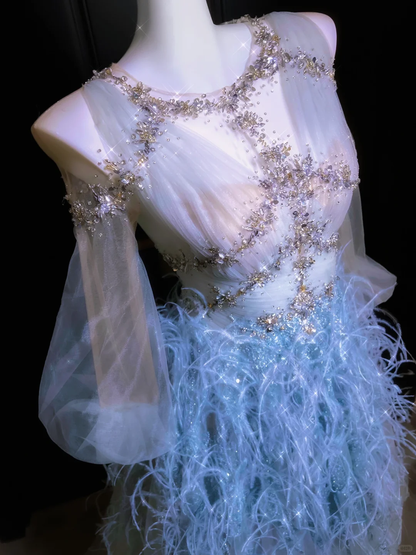 Blue Feather Exquisite Beaded Long Sleeve Tulle Date Dress Evening Dress Prom Dress DP2901
