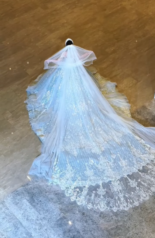 Dreamy Ball Gown Appliques Beaded Pleated Unique Tulle Wedding Dress DP5050