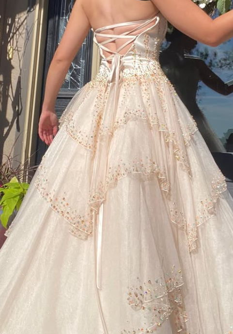 Vintage Glamorous A Line Sweetheart Neck Beaded Layered Tulle Wedding Dress Prom Dress DP5532