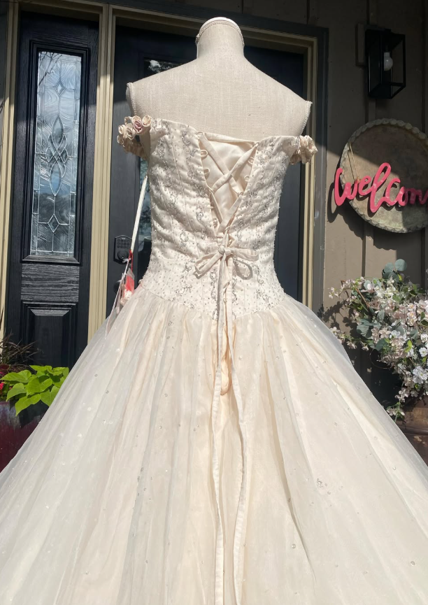 Retro A Line Off the Shoulder Beaded Light Apricot Satin Tulle Wedding Dress DP5521