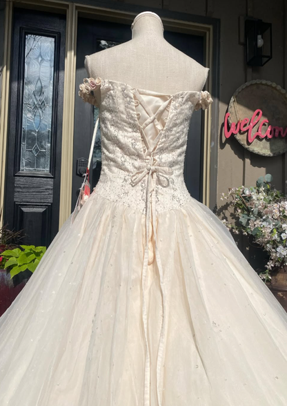 Retro A Line Off the Shoulder Beaded Light Apricot Satin Tulle Wedding Dress DP5521