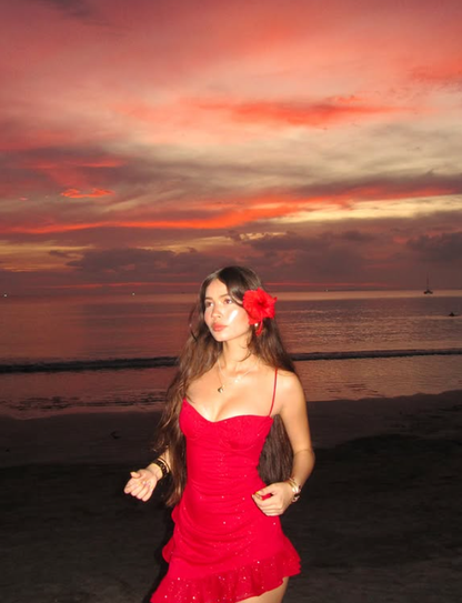 Red A Line Spaghetti Strap Sequin Tulle Short Homecoming Dress Vacation Dress DP3988