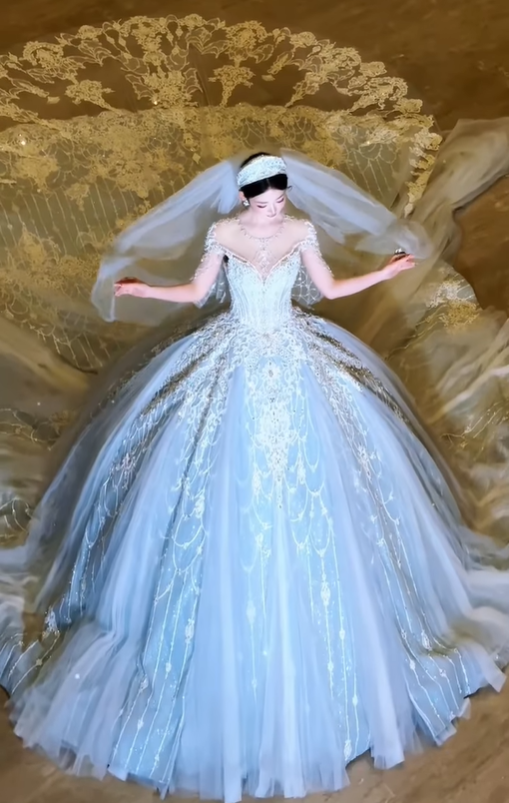 Dreamy Ball Gown Appliques Beaded Pleated Unique Tulle Wedding Dress DP5050