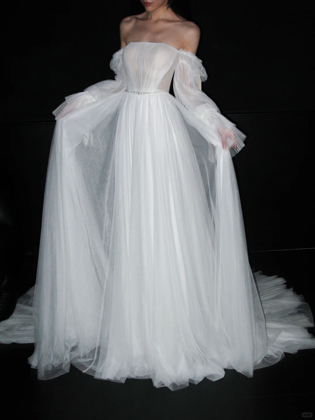 Gentle Ball Gown Long Seelve White Tulle Long Train Wedding Dress DP6361