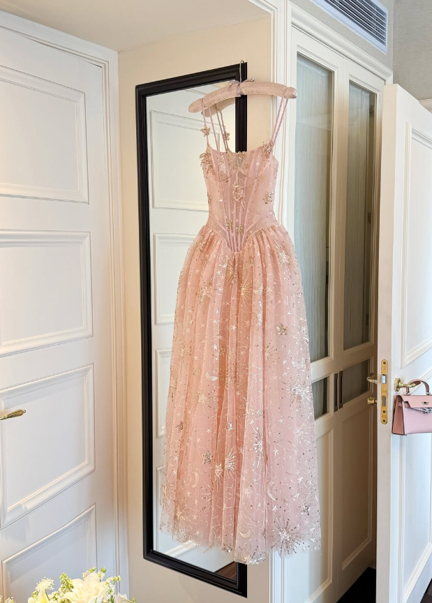Dreamy Pink A Line Spaghetti Straps Embroidered Beaded Tulle Prom Dress Evening Dress DP6135