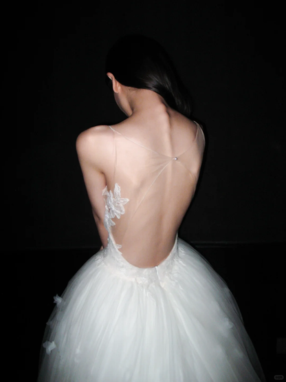 Backless Unique Ball Gown Straps White Lace Applique Tulle Long Wedding Dress DP6382