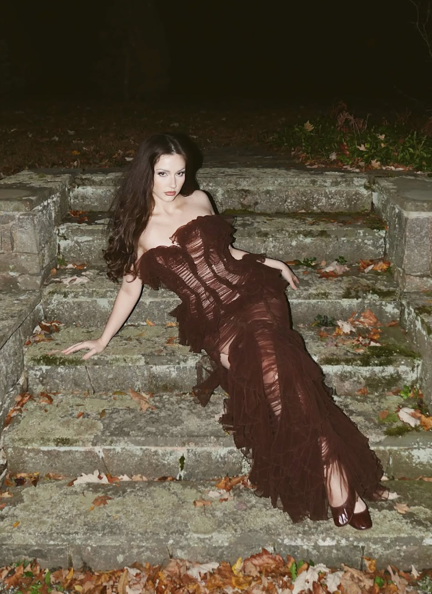 Sexy Brown Sheath Sweetheart Neck Layered Tulle Long Prom Dress DP4923