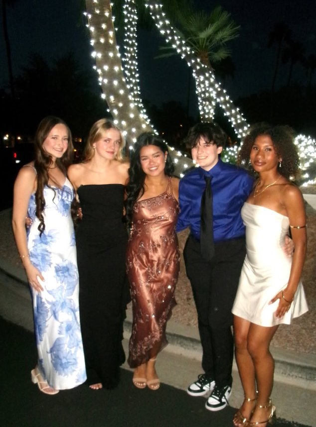 Retro Brown Exquisite Beaded Sheath One Shoulder Homecoming Prom Dress Date Dress DP3055