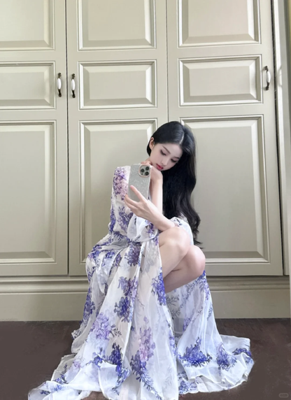 Wisteria A Line Long Sleeve Chiffon Long Prom Dress Outfits DP4611
