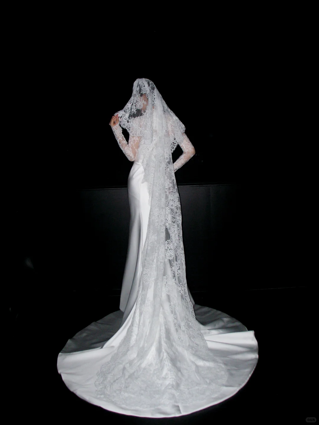 Classic Mermaid Long Sleeve White Lace Satin Long Wedding Dress DP5792