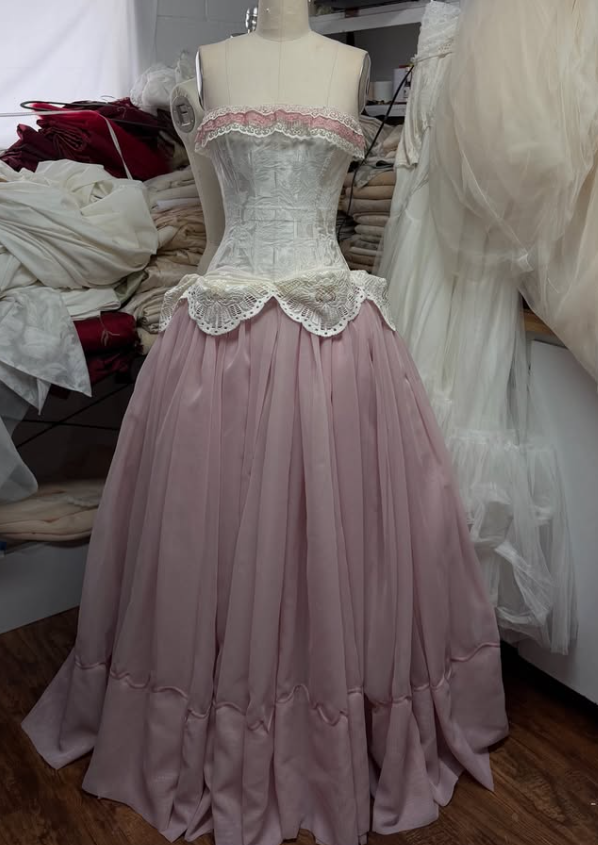 Vintage Pink A Line Strapless Satin Tulle Long Prom Dress Evening Dress DP7880