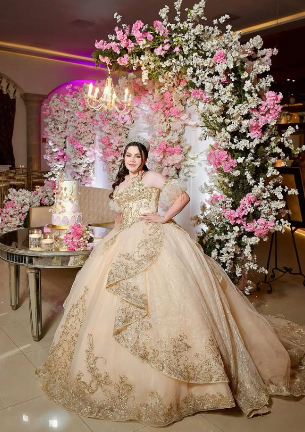 Champagne Exquisite Embroidery Puff Tulle Ball Gown Sweet 16 Dress Quinceanera Dress Wedding Dress DP3028