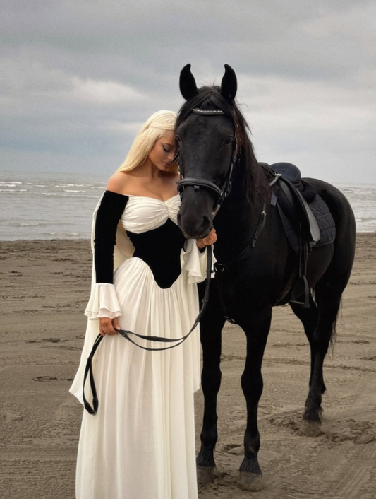Classic Ivory Black A Line Long Sleeve Velvet Chiffon Long Prom Dress Evening Dress DP3260