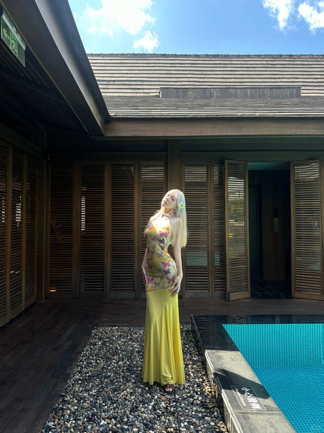 Yellow Mermaid Strapless Butterfly Print Chiffon Vacation Dress Outfits DP3844