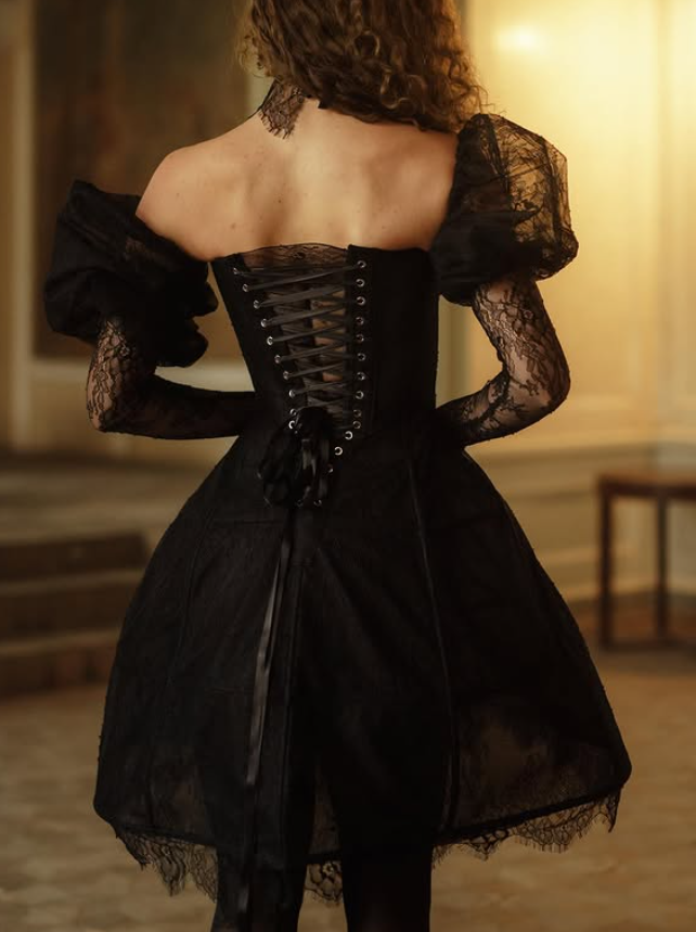 Sexy Black A Line Long Sleeve Exquisite Lace Short Prom Dress Homecoming Dress DP6345