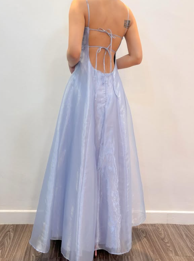 Vintage Light Purple A Line Beaded Tulle Organza Prom Dress Evening Dress Date Dress DP5278