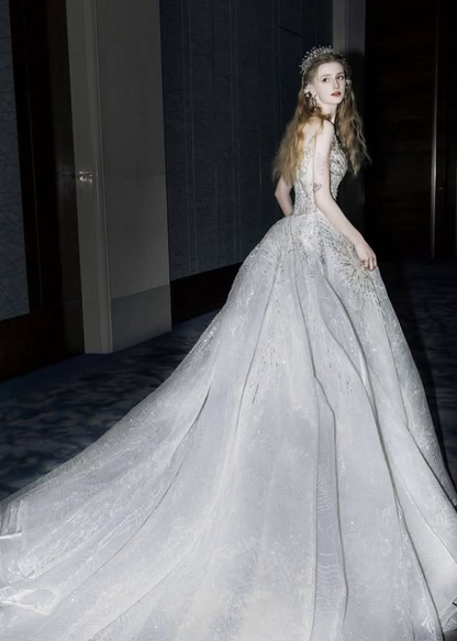 Silver Sequin Ball Gown V Neck Exquisite Beaded Tulle Long Prom Dress DP4389