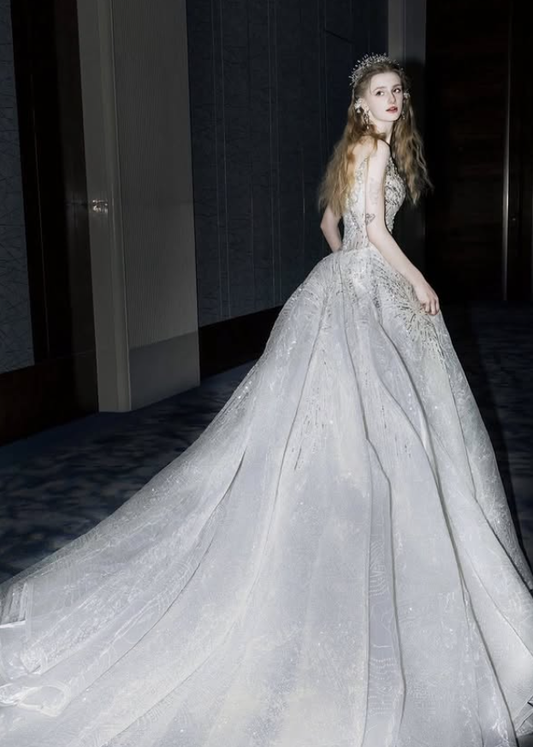 Silver Sequin Ball Gown V Neck Exquisite Beaded Tulle Long Prom Dress DP4389