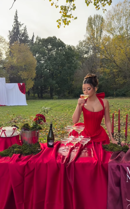 Red Ball Gown Halter Bow Satin Long Sweep Backless Prom Dress Birthday Party Dress DP4911